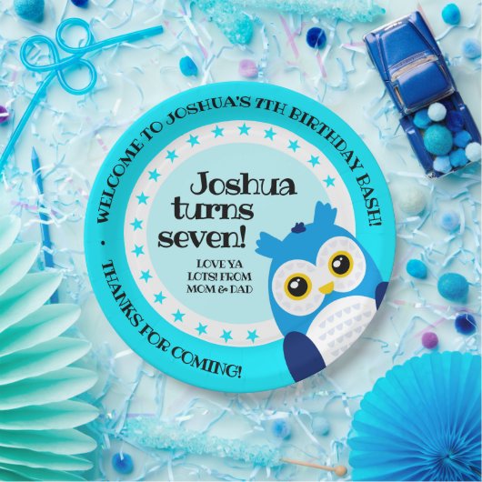Cute Happy Birthday Boy Blue Owl Papieren Bordje (Feest)