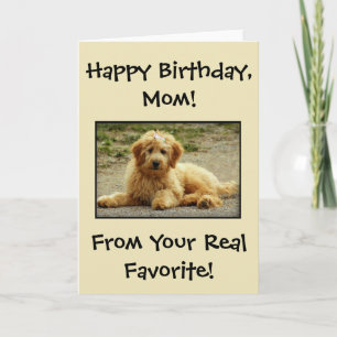 Cute Happy Birthday Kaart van de Dog Foto