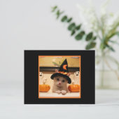 Cute Happy Halloween Kat en heks Pet Briefkaart (Staand voorkant)