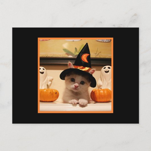 Cute Happy Halloween Kat en heks Pet Briefkaart (Voorkant)