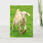 Cute Happy Little Goat Birthday Kaart (Voorkant)