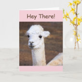 Cute Happy Llama Birthday Kaart (Gele Bloem)