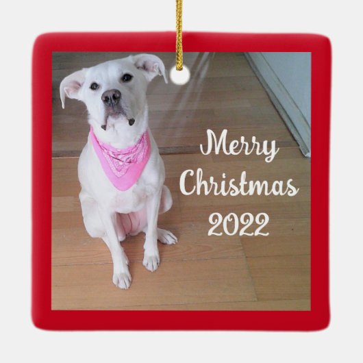 Cute Happy Puppy Dog met roze plein rood Keramisch Ornament (Achterkant)