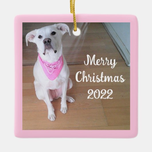 Cute Happy Puppy Dog met roze plein rood Keramisch Ornament (Voorkant)