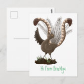 Cute happy superb lyrebird cartoon illustratie briefkaart (Voorkant / Achterkant)