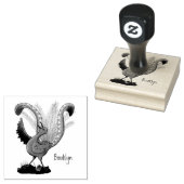 Cute happy superb lyrebird cartoon illustratie rubberstempel (Gestempeld)