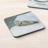 Cute Harbor Seal on Snow Bier Onderzetter (Linkerzijde)