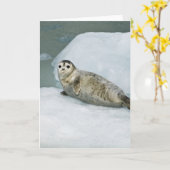 Cute Harbour-zegel op sneeuw Kaart (Gele Bloem)