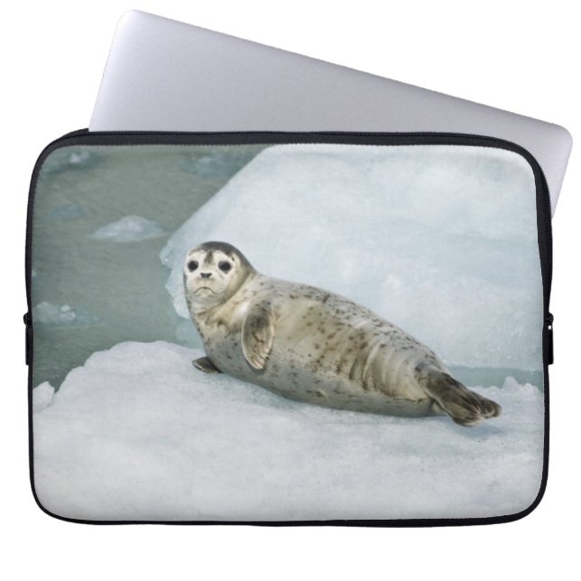 Cute Harbour-zegel op sneeuw Laptop Sleeve (Voorkant)