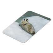Cute Harbour-zegel op sneeuw Magneet (Linkerzijde)