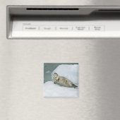 Cute Harbour-zegel op sneeuw Magneet (Insitu (Vaatwasser))