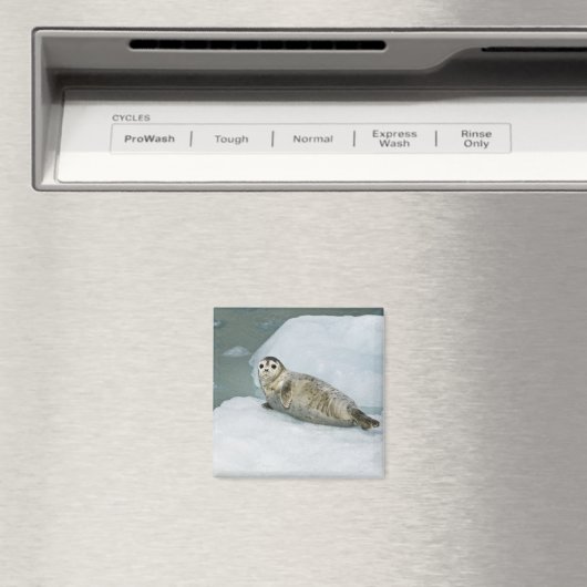 Cute Harbour-zegel op sneeuw Magneet (Insitu (Vaatwasser))