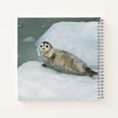 Cute Harbour-zegel op sneeuw Notitieboek (Achterkant)