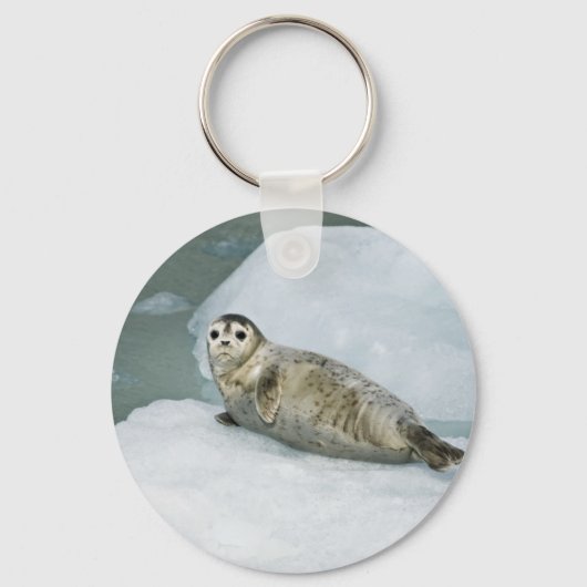 Cute Harbour-zegel op sneeuw Sleutelhanger (Voorkant)