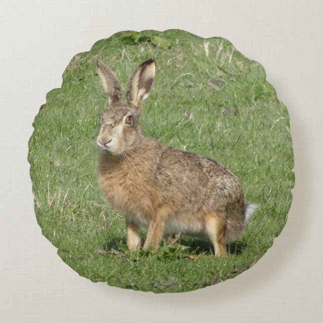Cute Hare Close Round Pillow Rond Kussen (Voorkant)