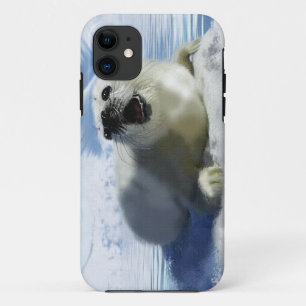 Cute Harp Seal & Ice Art voor importeurs van wilde iPhone 11 Hoesje