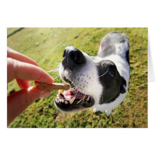 Cute Hartelijk dank voor de Kaart van de gezelscha (Voorkant Horizontaal)