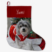 Cute Havanese Grote Kerstsok (Voorkant)
