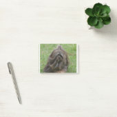 Cute Havanese Post-it® Notes (Kantoor)