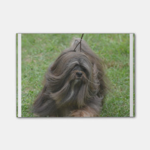 Cute Havanese Post-it® Notes