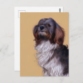 Cute Havanese Puppy Dog Briefkaart (Voorkant / Achterkant)