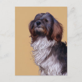 Cute Havanese Puppy Dog Briefkaart