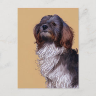 Cute Havanese Puppy Dog Briefkaart