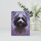Cute Havanese Puppy Dog Briefkaart (Staand voorkant)