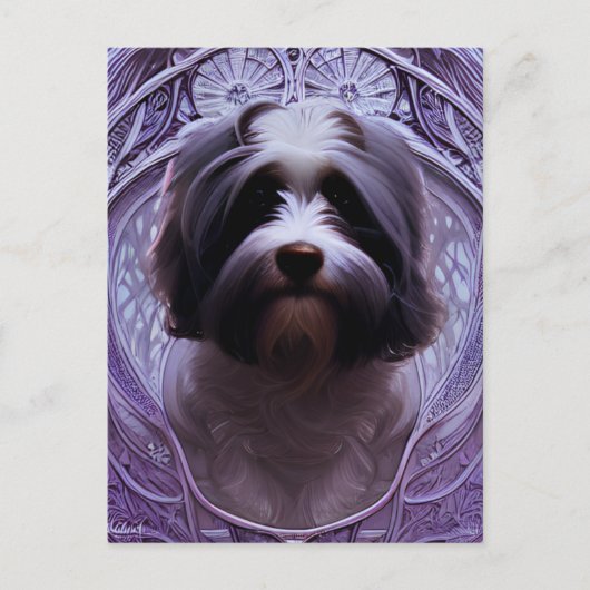 Cute Havanese Puppy Dog Briefkaart (Voorkant)