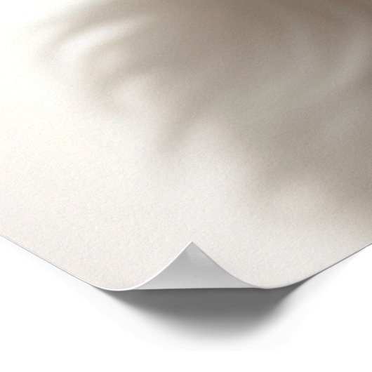 Cute Havanese Puppy Dog Portrait Poster (1) (Hoek)