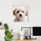 Cute Havanese Puppy Hond Portret Poster (1) (Thuiskantoor)