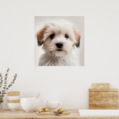 Cute Havanese Puppy Hond Portret Poster (1) (Keuken)