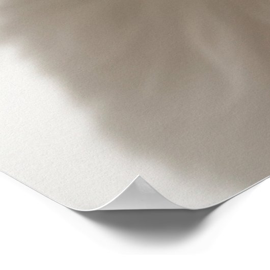 Cute Havanese Puppy Hond Portret Poster (2) (Hoek)