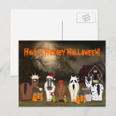Cute have a Horsey Halloween Horse Feestdagenkaart (Voorkant / Achterkant)