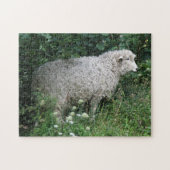 Cute Hebzuchtige Schaap Eet Puzzel (Horizontaal)
