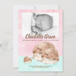 Cute Hedegel Family New Baby Photo Personalized Aankondiging