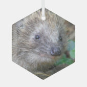 Cute Hedégel g kerstglas Ornament (Voorkant)