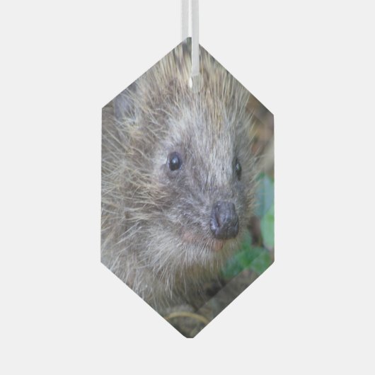 Cute Hedégel g kerstglas Ornament (Voorkant Rechts)