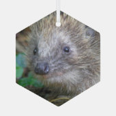 Cute Hedégel g kerstglas Ornament (Achterkant)