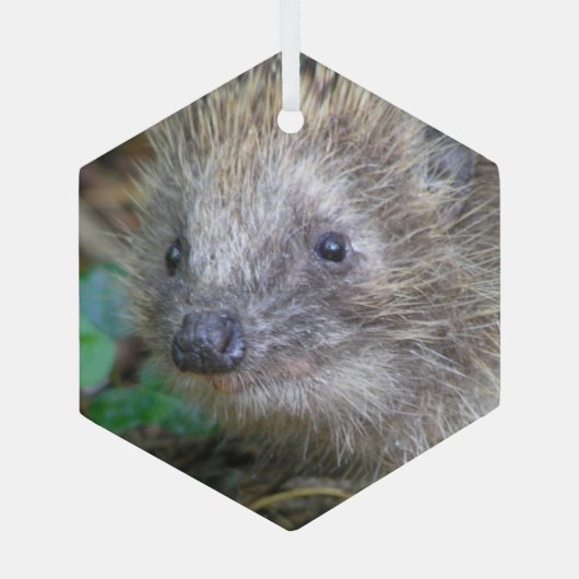 Cute Hedégel g kerstglas Ornament (Achterkant)
