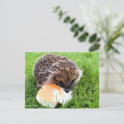 CUTE HEDGEHOG BRIEFKAART (Staand voorkant)
