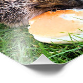 CUTE HEDGEHOG FOTO AFDRUK (Hoek)