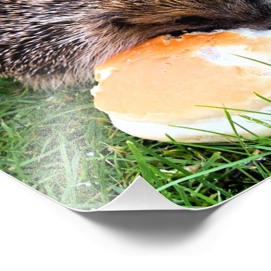 CUTE HEDGEHOG FOTO AFDRUK (Hoek)