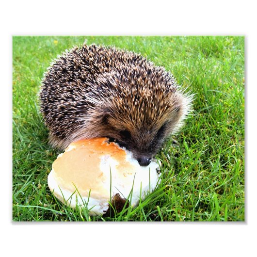 CUTE HEDGEHOG FOTO AFDRUK (Voorkant)