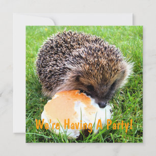CUTE HEDGEHOG INVITATIE