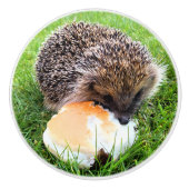 CUTE HEDGEHOG KERAMISCHE KNOP (Voorkant)