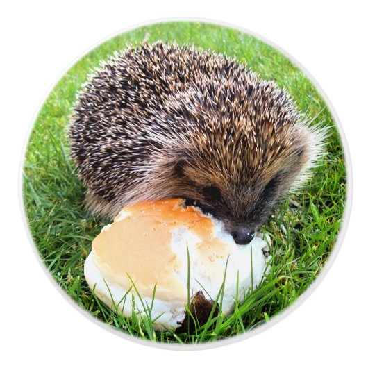 CUTE HEDGEHOG KERAMISCHE KNOP (Voorkant)