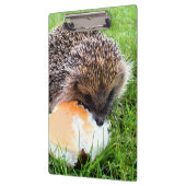 CUTE HEDGEHOG KLEMBORD (Links)