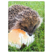 CUTE HEDGEHOG KLEMBORD (Achterkant)