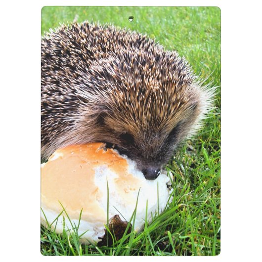 CUTE HEDGEHOG KLEMBORD (Achterkant)